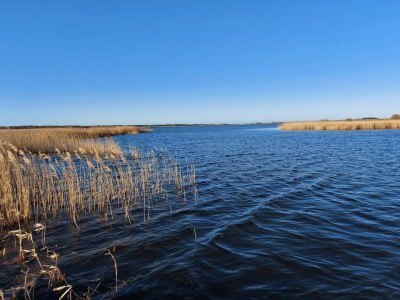 Holiday house 8 person holiday home in Løgstør-By Traum - Outdoor photo 35