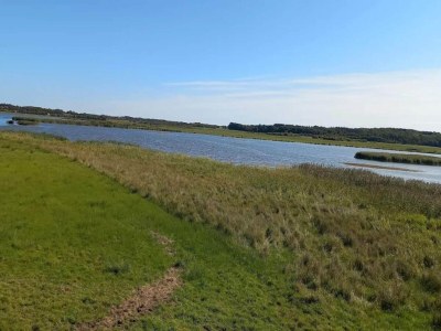 Holiday house 8 person holiday home in Løgstør-By Traum - Outdoor photo 36