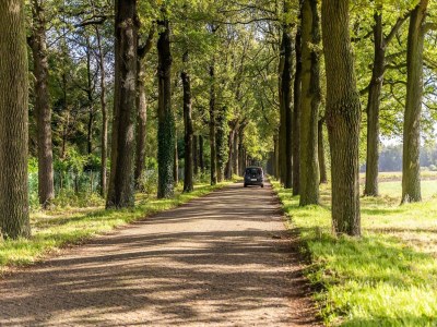 Apartment Wohnung in Wortel Hoogstraten - Environment photo 32