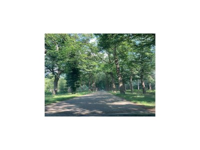 Apartment Wohnung in Wortel Hoogstraten - Environment photo 34