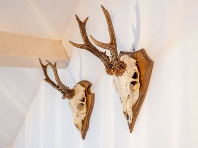 Apartment Wohnung in Wortel Hoogstraten - Outdoor photo 38