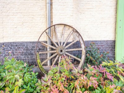 Apartment Wohnung in Wortel Hoogstraten - Outdoor photo 39