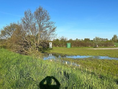 Holiday house Tranquil Beach Retreat - By Traum - Outdoor photo 20