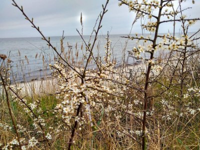 Holiday house Tranquil Beach Retreat - By Traum - Outdoor photo 27