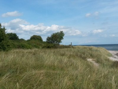 Holiday house Tranquil Beach Retreat - By Traum - Outdoor photo 33