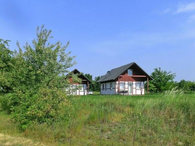 Holiday house Ferienhaus am Partwitzer See, Elsterheide - Outdoor photo 4