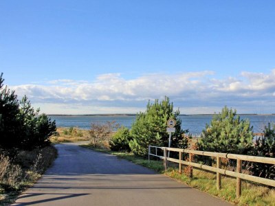 Holiday house Ferienhaus am Partwitzer See, Elsterheide - Environment photo 17