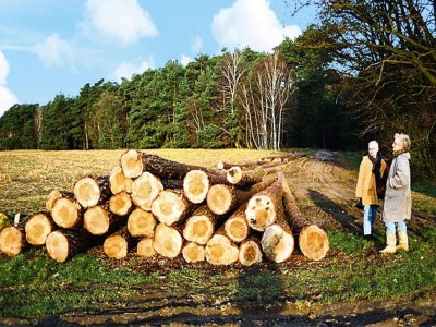 Apartment Ferienwohnung, Beetzseeheide - Environment photo 13