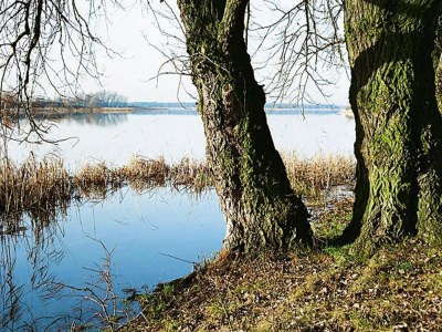 Apartment Ferienwohnung, Beetzseeheide - Environment photo 14