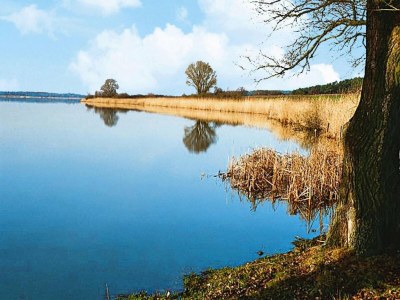 Apartment Ferienwohnung, Beetzseeheide - Environment photo 15