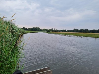 Holiday house 8 Personen Ferienhaus in Sæby - Outdoor photo 20