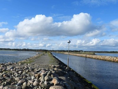 Holiday house 8 Personen Ferienhaus in Sæby - Outdoor photo 21