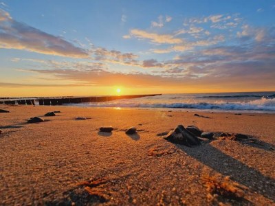 Apartment Appartementhaus Calmsailing, Börgerende - Environment photo 33