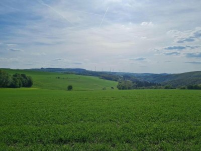 Holiday house Ferienhaus Eifelruhe in Filz - Environment photo 34