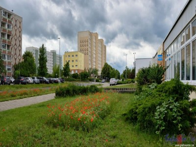 Holiday house Doppelhaushälfte, Schönwalde - Environment photo 15