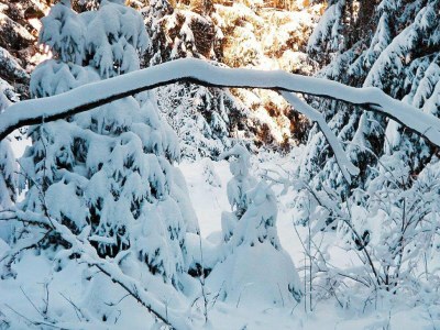 Apartment Ferienwohnung, Clausthal-Zellerfeld - Environment photo 30