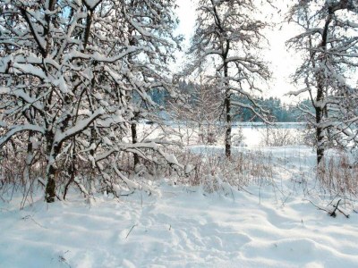 Apartment Ferienwohnung, Clausthal-Zellerfeld - Environment photo 32