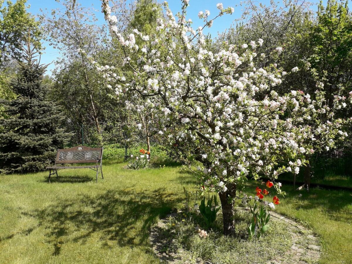 Apartment Ferienwohnung in der hübschen Inselstadt Malchow - Outdoor photo 2