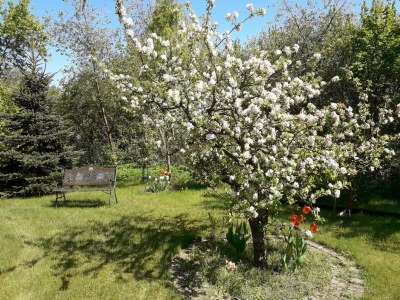 Apartment Ferienwohnung in der hübschen Inselstadt Malchow - Outdoor photo 2
