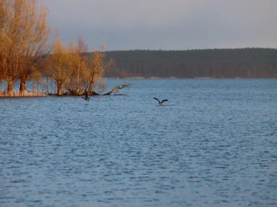 Holiday house Ferienhaus Kiebitz, Plau am See - Environment photo 12
