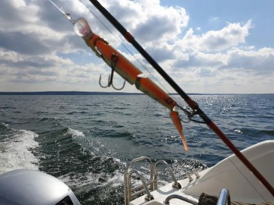 Holiday house Ferienhaus Kiebitz, Plau am See - Environment photo 33