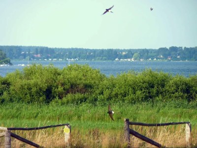 Holiday house Ferienhaus Kiebitz, Plau am See - Environment photo 34