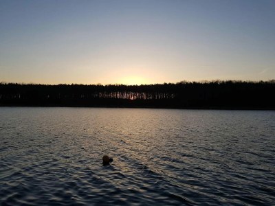 Holiday house Ferienhaus Kiebitz, Plau am See - Environment photo 37