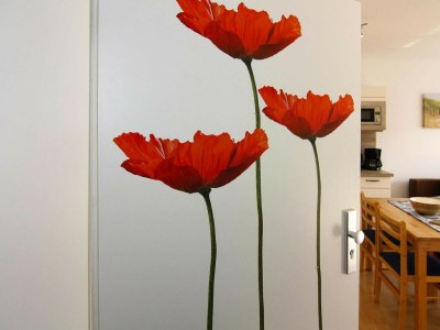 Apartment Ferienwohnung, Trassenheide - Outdoor photo 38