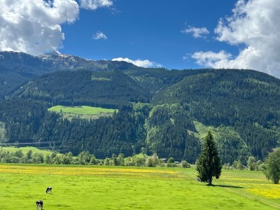 Holiday house Chalet in Stuhlfelden nahe Skipisten - Outdoor photo 9