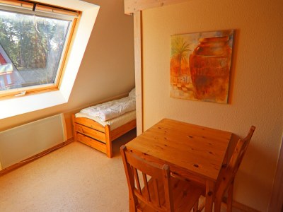 Apartment Reihenhaus Dünenwaldhaus in Trassenheide - Features photo 8