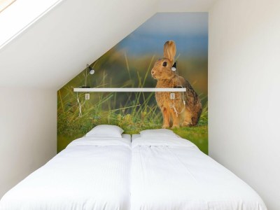 Holiday house Holiday Home in Nes near Vleijen Area - Features photo 16