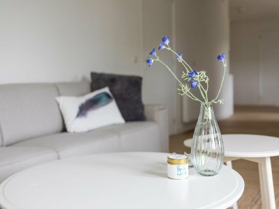 Holiday house Holiday Home in Nes near Vleijen Area - Outdoor photo 37