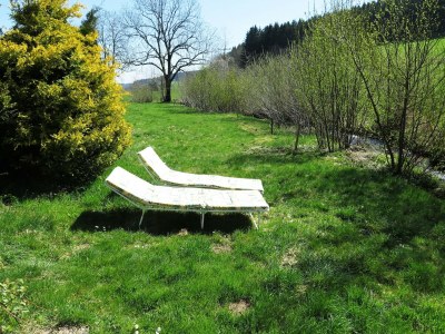 Holiday house Ferienhaus, Schwarzwald - Outdoor photo 7