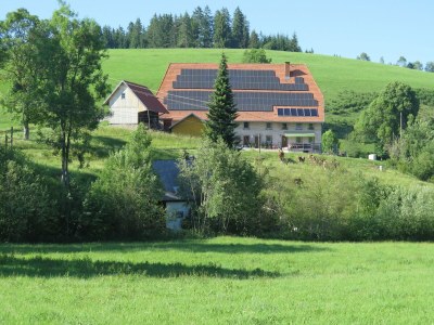 Holiday house Ferienhaus, Schwarzwald - Outdoor photo 11