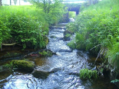Holiday house Ferienhaus, Schwarzwald - Environment photo 27