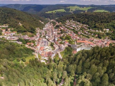 Holiday house Ferienhaus, Schwarzwald - Environment photo 28