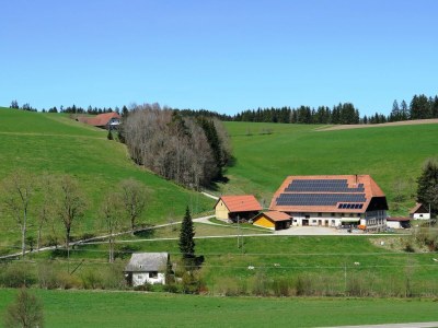 Holiday house Ferienhaus, Schwarzwald - Environment photo 29