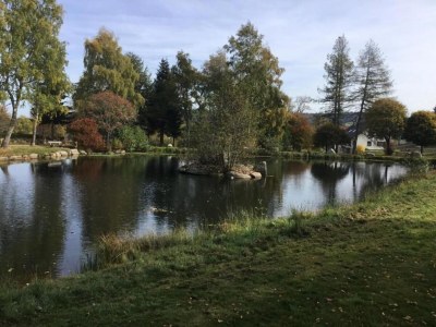 Holiday house Ferienhaus, Schwarzwald - Environment photo 34