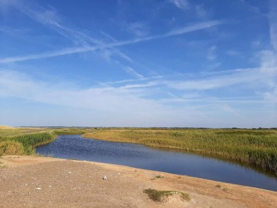 Holiday house Charming Cottage near Beach - By Traum Ferienwohnungen - Outdoor photo 19