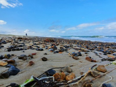 Holiday house Charming Cottage near Beach - By Traum Ferienwohnungen - Outdoor photo 37