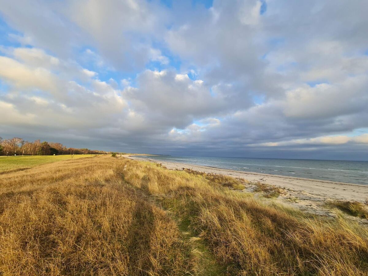 Holiday house 6 Personen Ferienhaus in Væggerløse-By Traum - Outdoor photo 3