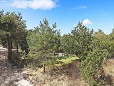 Holiday house 8 Personen Ferienhaus in Fjerritslev-By Traum - Outdoor photo 32