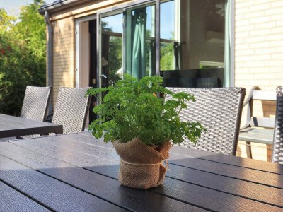 Holiday house 10 person holiday home in Væggerløse-By Traum - Outdoor photo 4