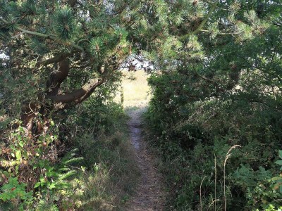 Holiday house 10 person holiday home in Væggerløse-By Traum - Outdoor photo 25