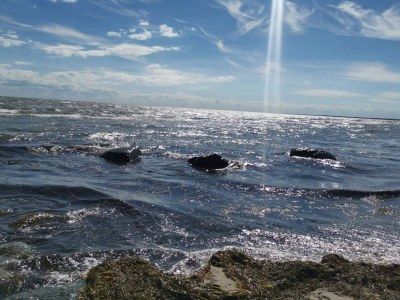 Holiday house 10 person holiday home in Væggerløse-By Traum - Outdoor photo 40