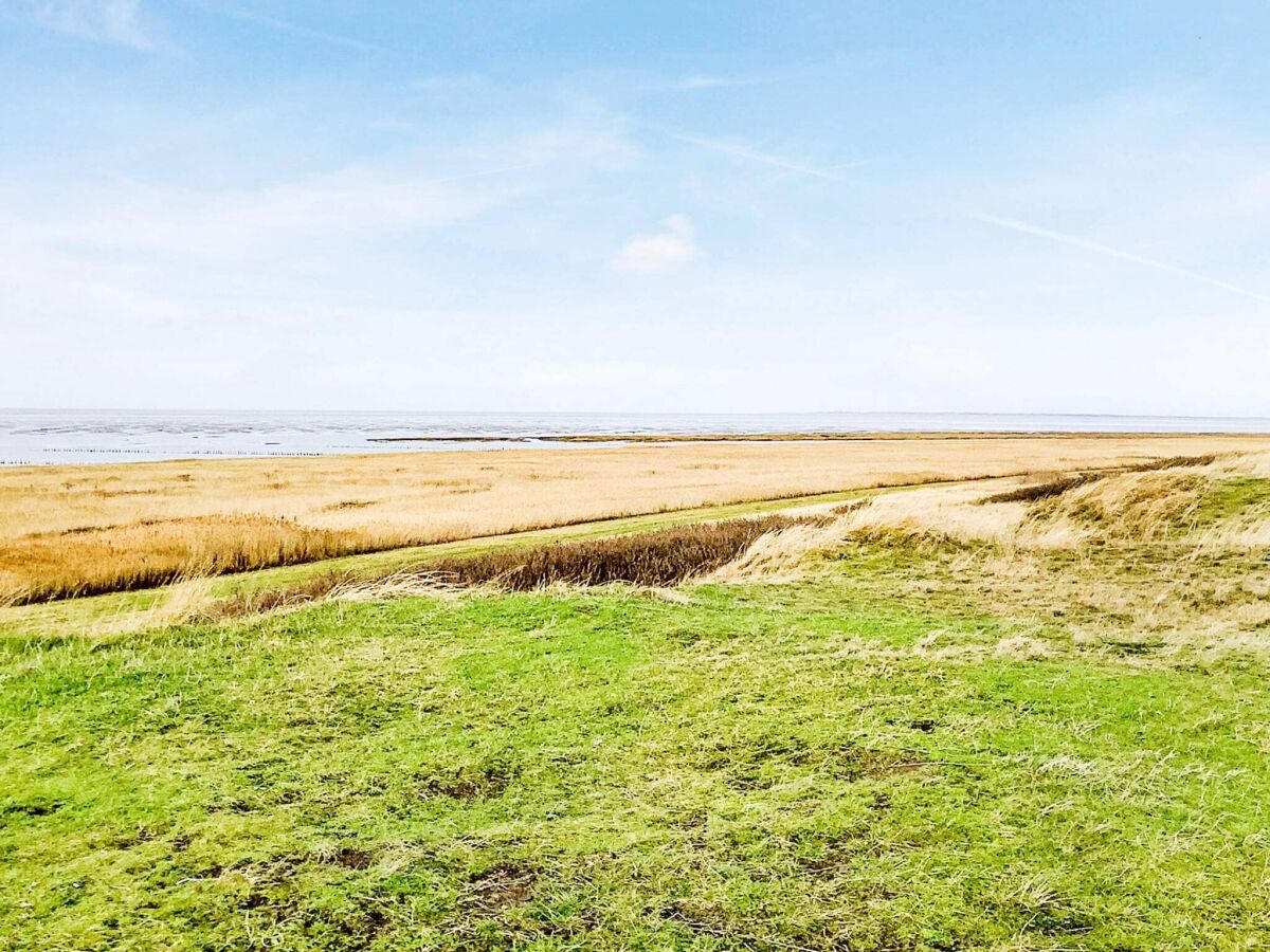 Holiday house 6 Personen Ferienhaus in Ribe-By Traum - Outdoor photo 3