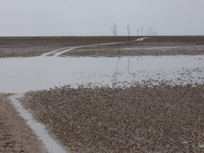 Holiday house 6 Personen Ferienhaus in Ribe-By Traum - Outdoor photo 5