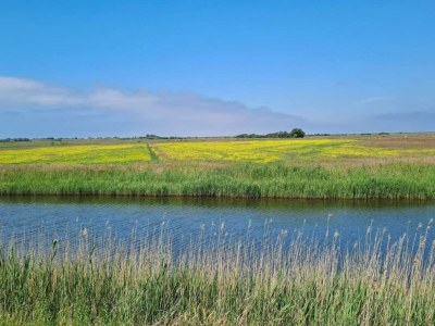 Holiday house 6 Personen Ferienhaus in Ribe-By Traum - Outdoor photo 6