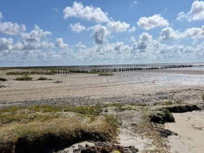 Holiday house 6 Personen Ferienhaus in Ribe-By Traum - Outdoor photo 23