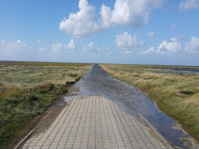 Holiday house 6 Personen Ferienhaus in Ribe-By Traum - Outdoor photo 26